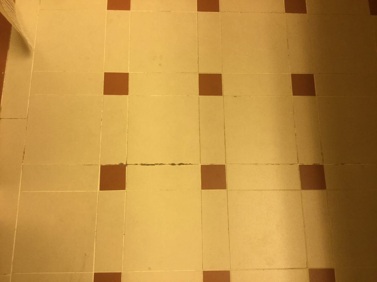 Cracked floor