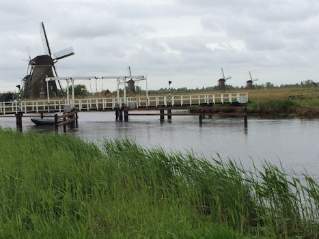 On our walking tour to Kinderdijk.