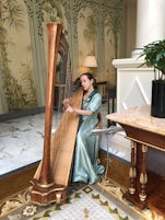 The harp player at the Four Seasons in St Petersburg