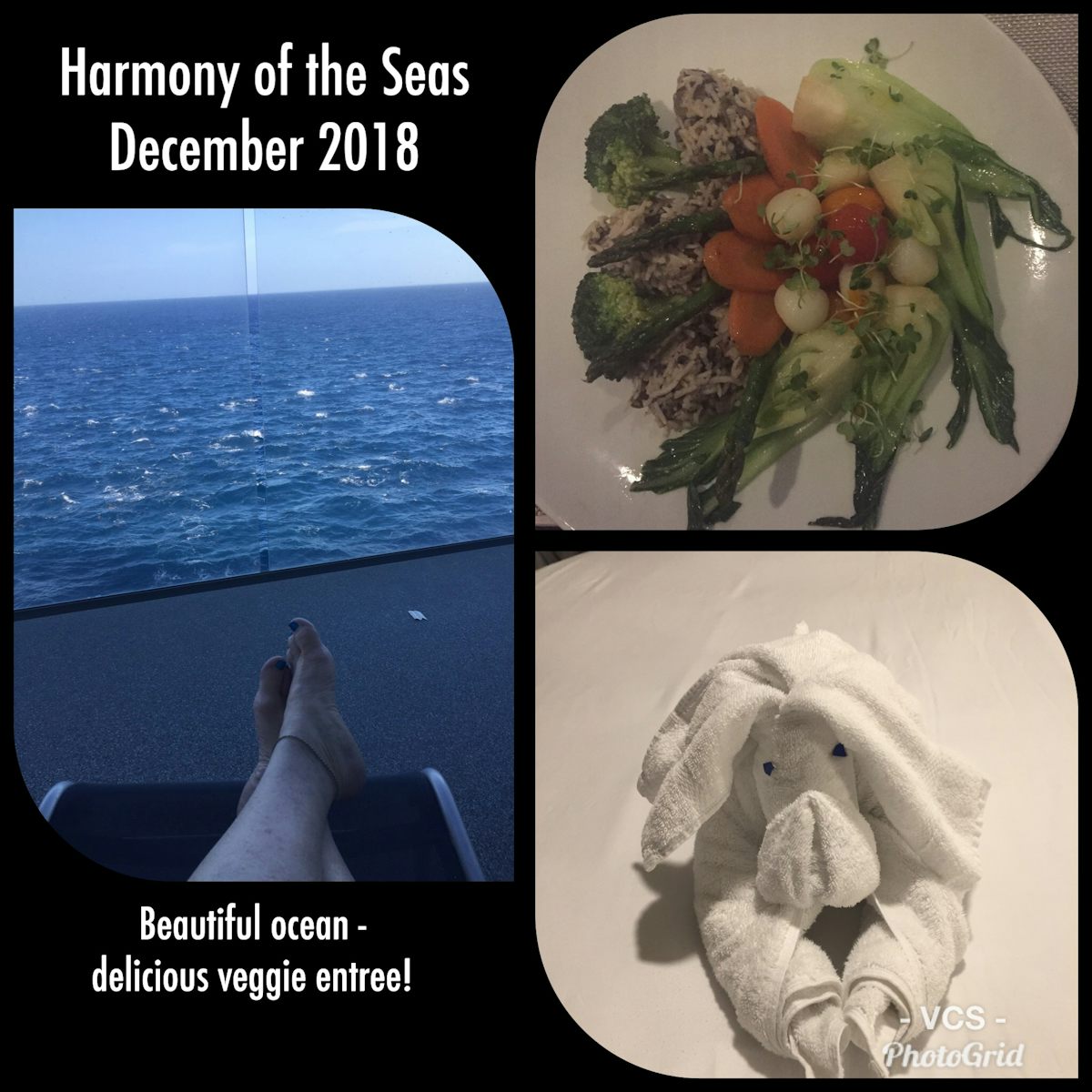 A little collage from our cruise....  My wonderful veggie meal at Wonderlan