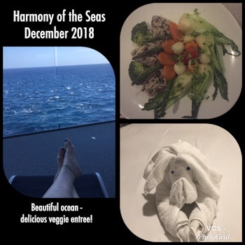 A little collage from our cruise....  My wonderful veggie meal at Wonderlan