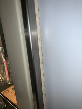 Mold in cabin bathroom