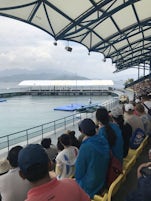 Nha Trang Vin Pearl Island Dolphin Show