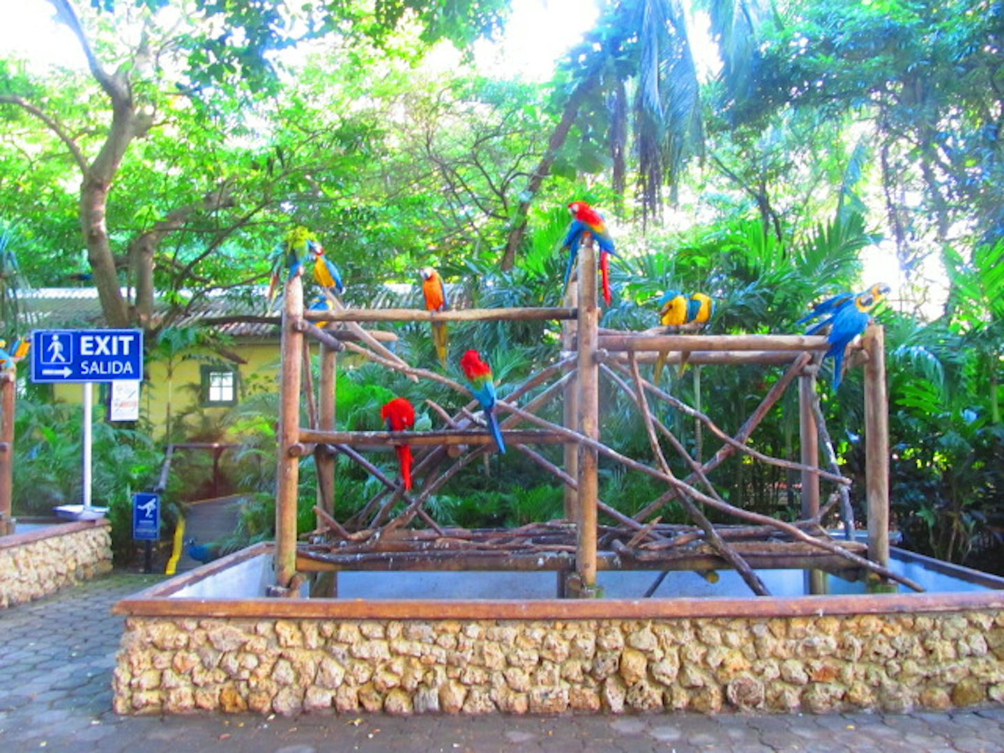 Birds at Aviary in Cartagena