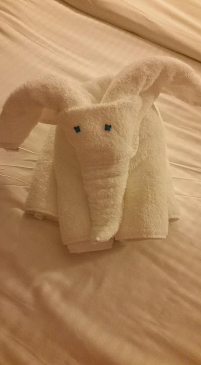 A different towel animal every day
