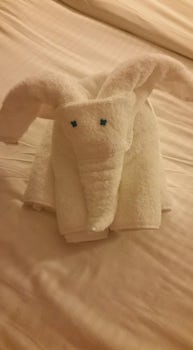 A different towel animal every day