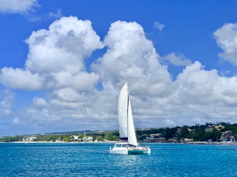 Sailing in Barbados