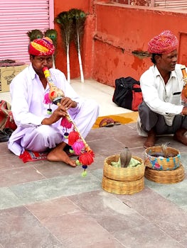 Jaipur, India - snake charmers along the street