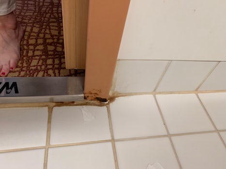 Bathroom, rotted board