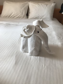 Loved the towel animals