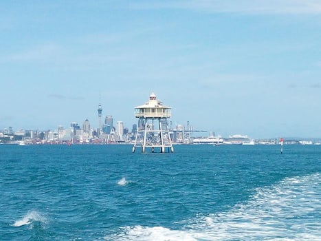 Cruise on Auckland Harbour.