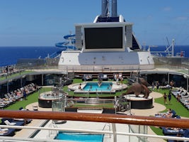 Picture of the pool deck