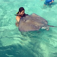 Got to swim with stingrays in Cayman Islands.