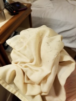 The dust in a "clean" room?