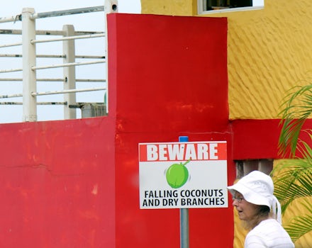 Beware in Tobago