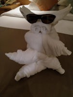 towel animals by Isaac