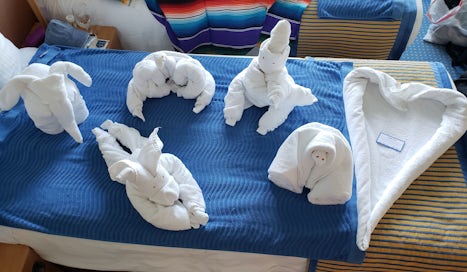 My towel animals for the week