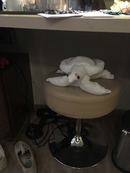 One of our towel animals.