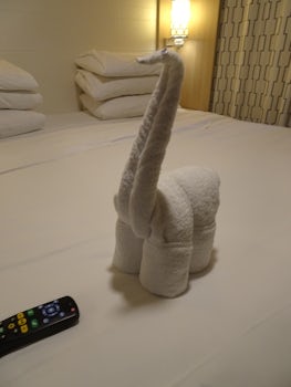 Towel Animals
