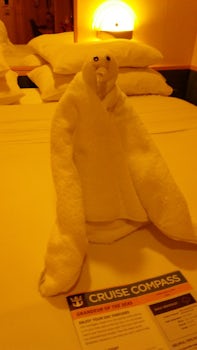 One of our many towel animals.