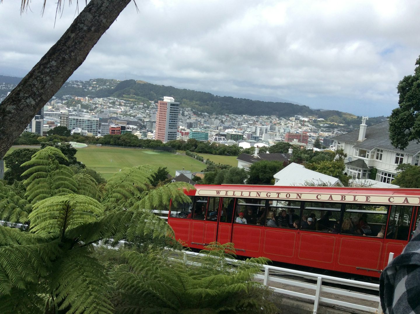 This is the cable car we rode in Wellington.
