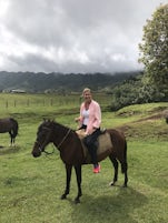 Nuka Hiva By horseback!  Non-sanctioned excursion for a reason ⚠️