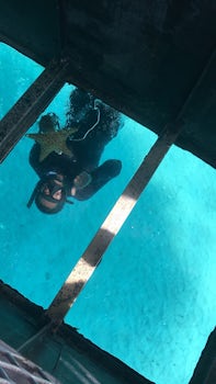 Glass bottom boat in CocoCay- employees were very funny but professional at