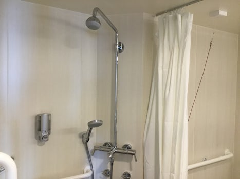 Accessible Shower in 12170
