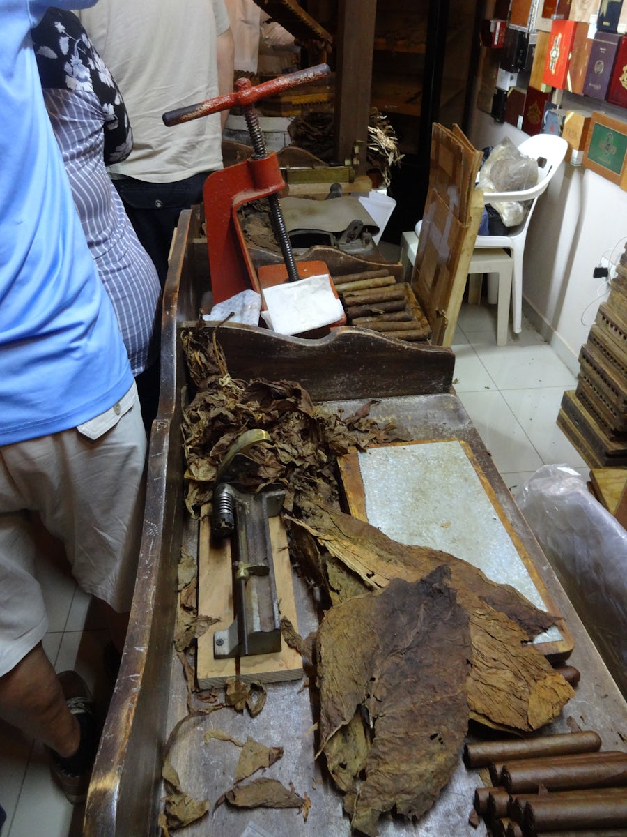 Amber Cove Dominican Republic Our Local Flavor tour of a Cigar factory. (Ye