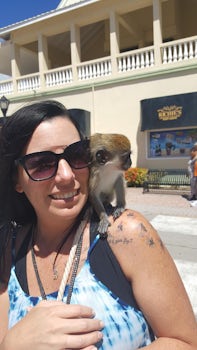 St Kitts, little Monkeys just as you get off the ship.  Of course they char