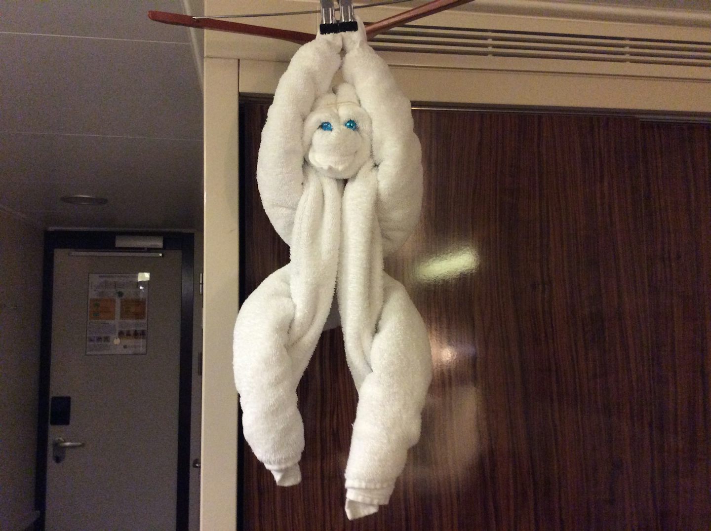 Towel monkey