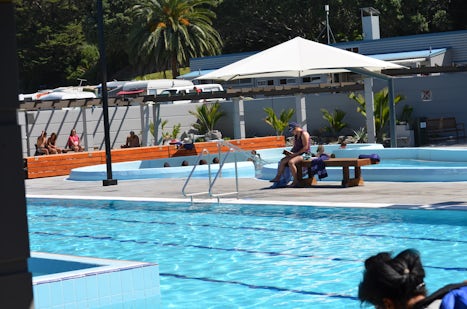 Port day in Tauranga. The lovely heated pools. A must when visiting.
