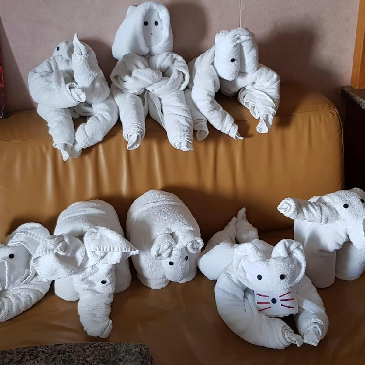 Our animal towels for each day of our new Zealand cruise.  