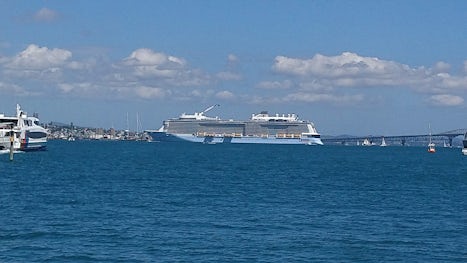 In Auckland Harbour 