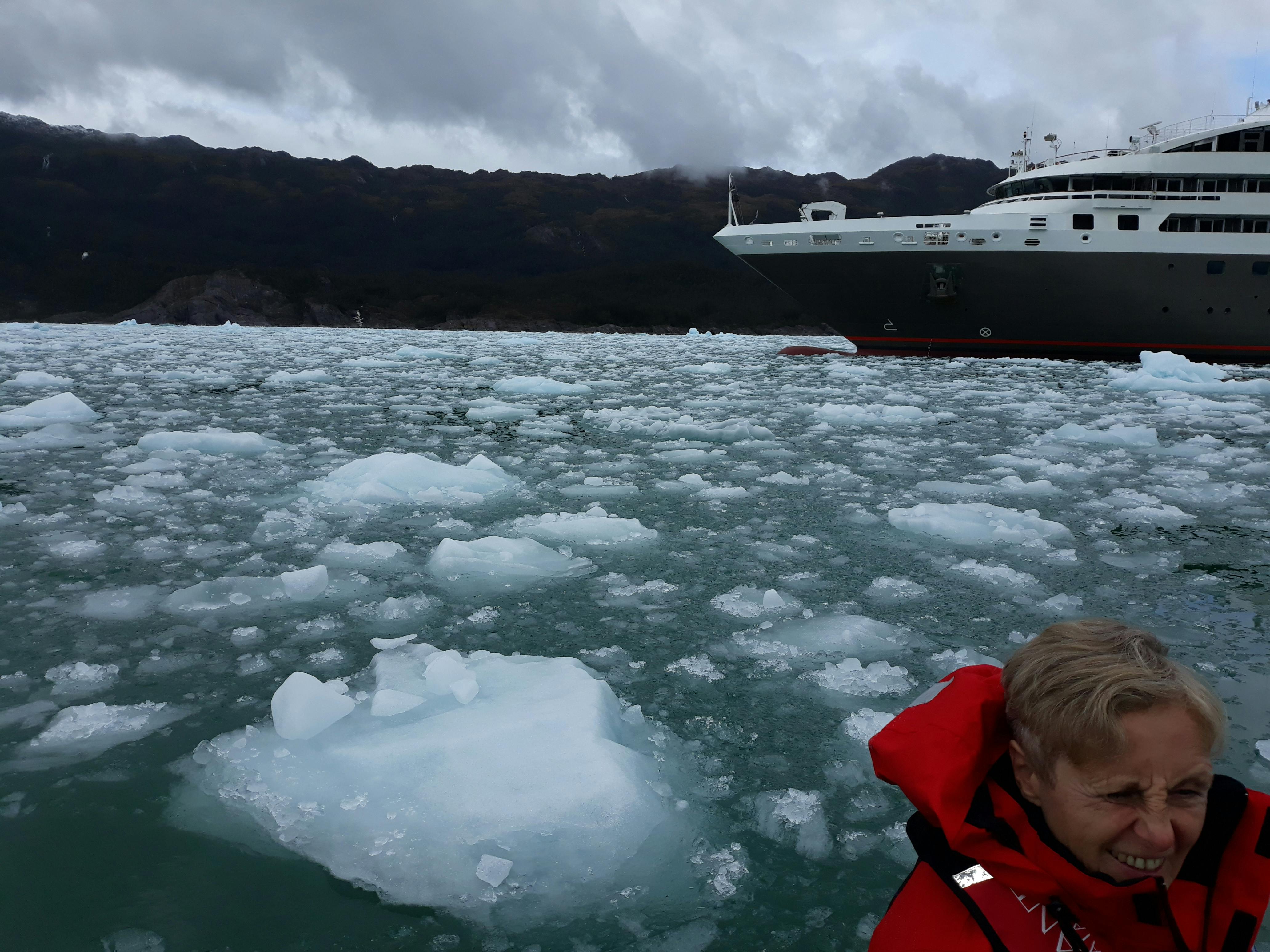 Ponant Le Boreal Antarctica Cruise Reviews (2020 UPDATED) Cruise