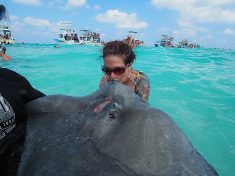 Swimming with the stingrays, kissing hem on the nose means 7 years of good 