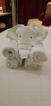 Our nightly towel animal