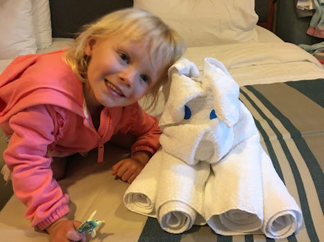 Presentation made towel art each day, my daughter loved it. 