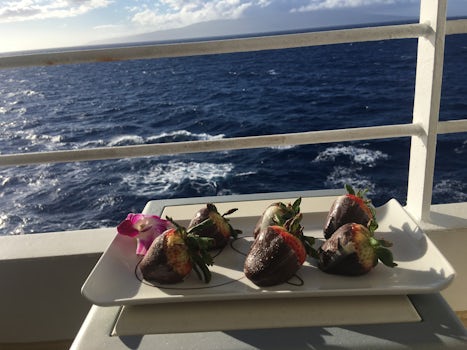Arranged chocolate strawberries to room, turned out to be a whale watching 