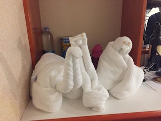 Towel  animals