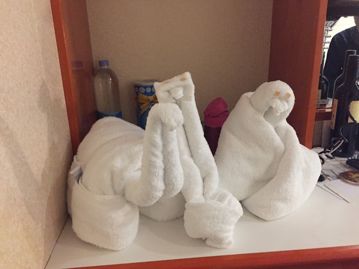 Towel  animals
