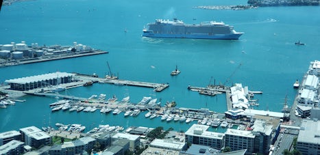 Ovation of the Seas from the Auckland Sky Tower
