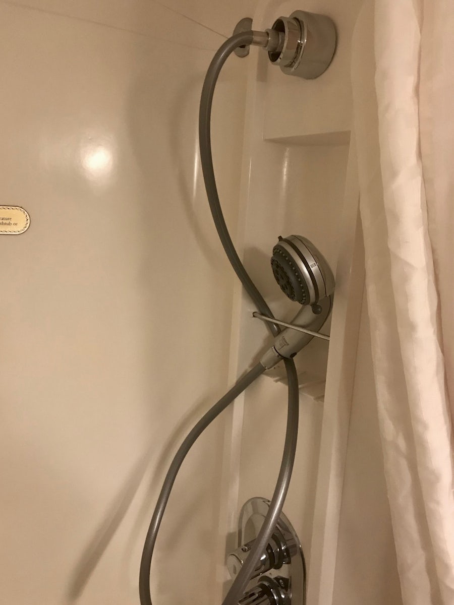 Shower without mount