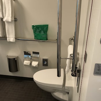 Cabin 5736 Accessible Bathroom