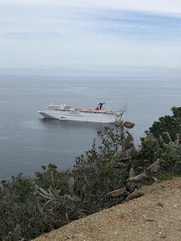 Ship in Catalina 
