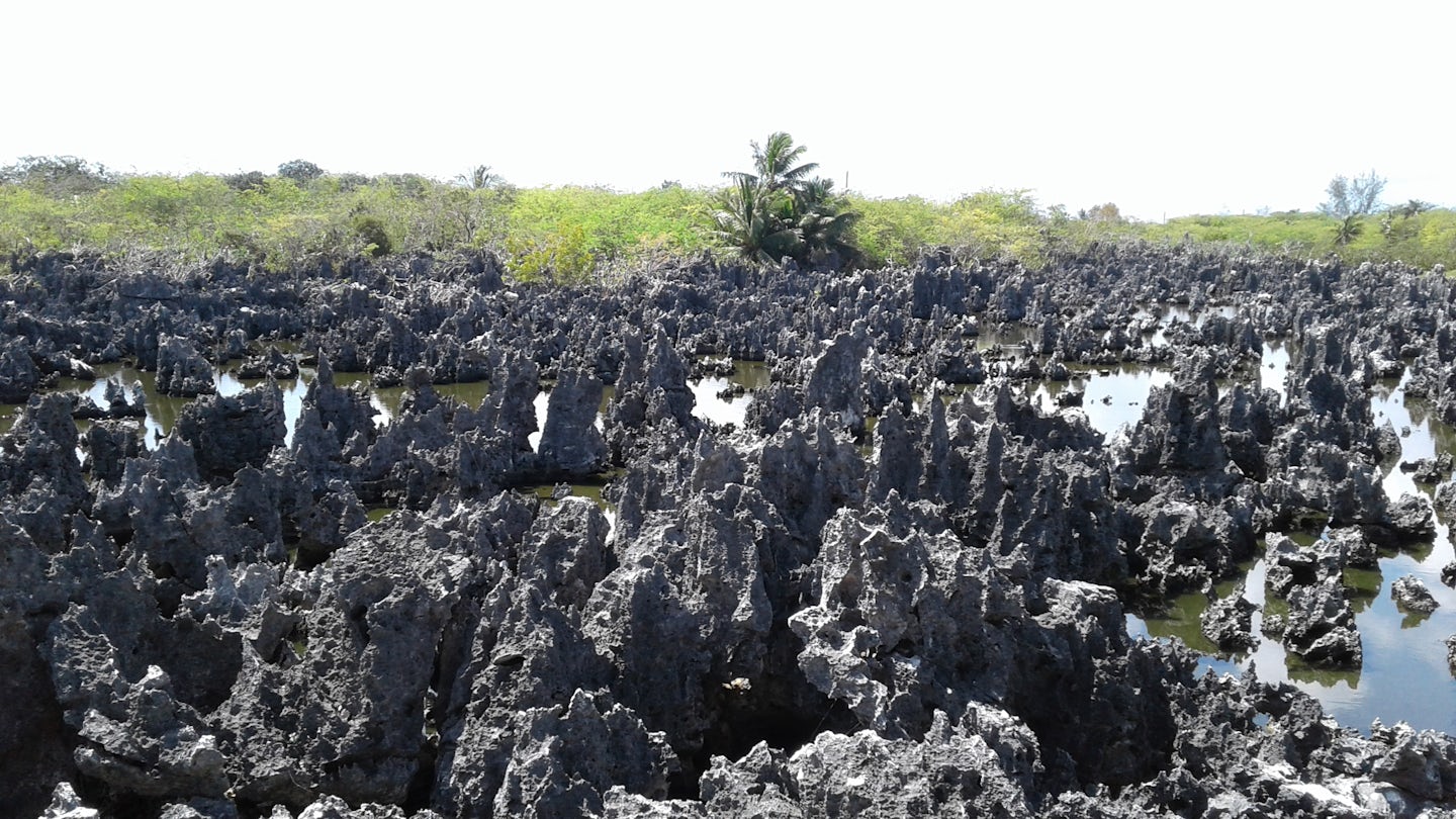 A visit to Hell -- Grand Cayman.  This is the formation the locale is named