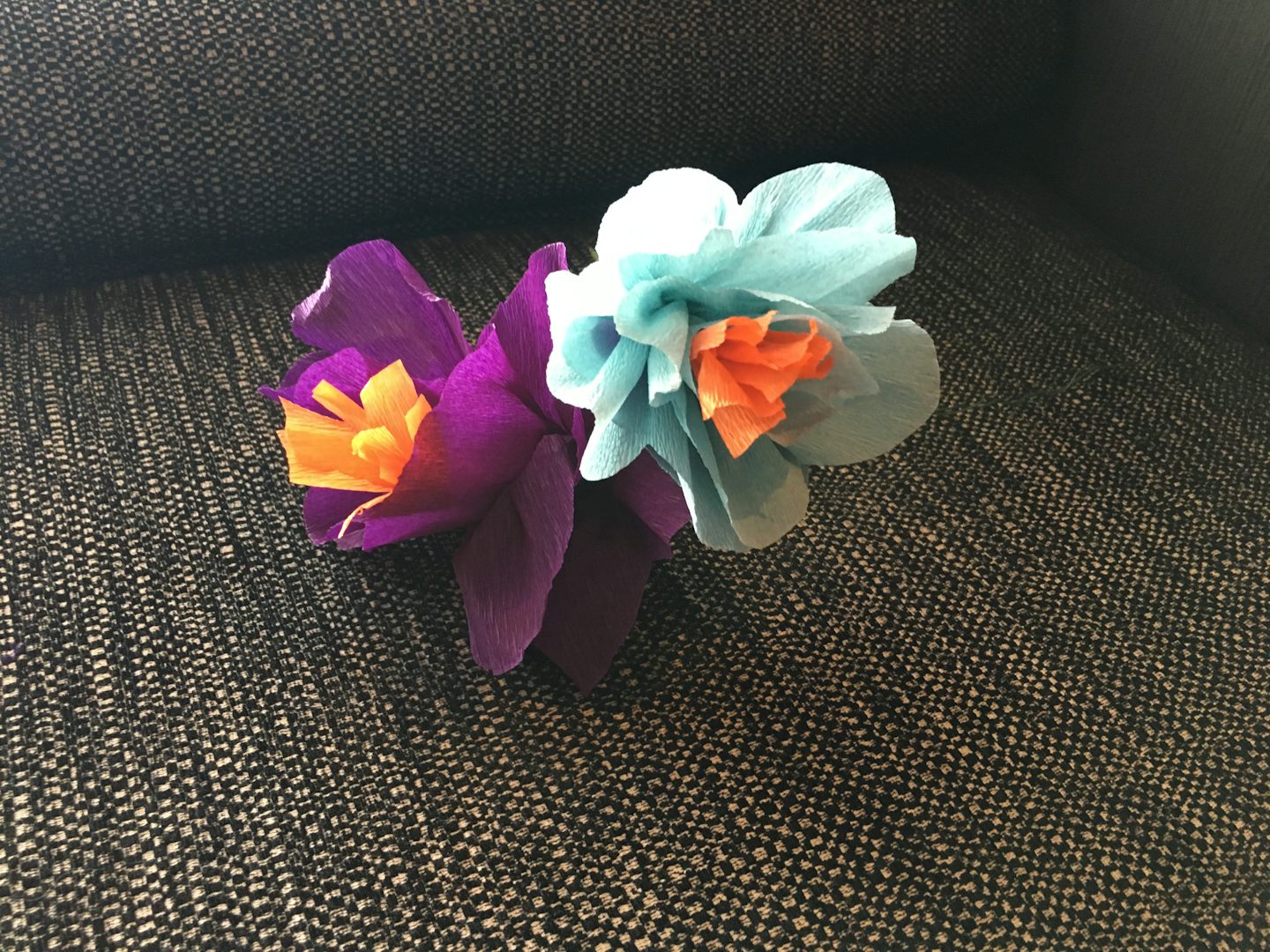 Our tissue paper flower craft. 