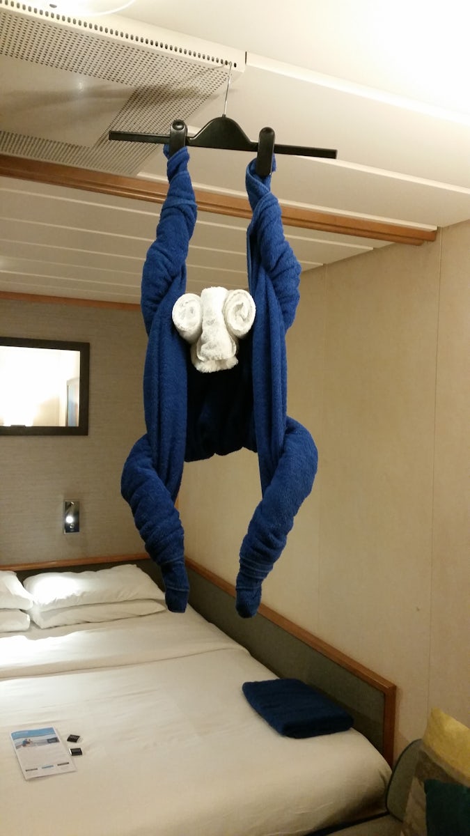 Towel monkey in cabin