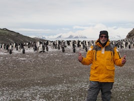 shore trip for penguin