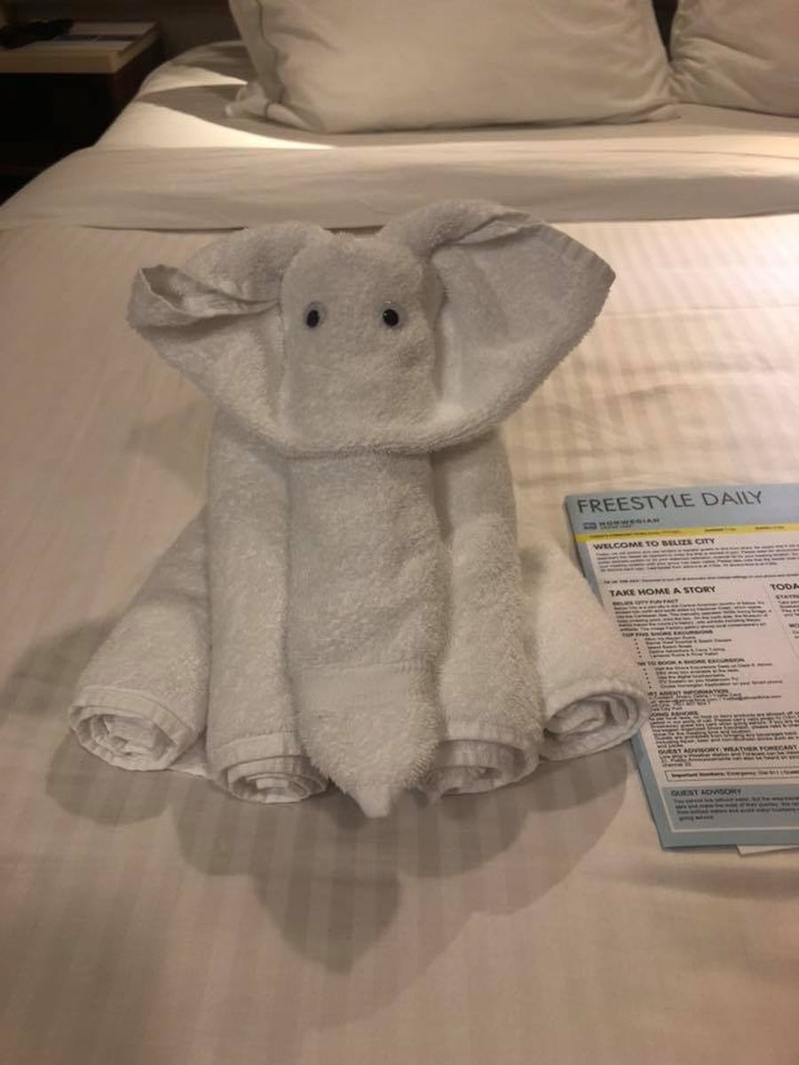 Nightly towel animal in room